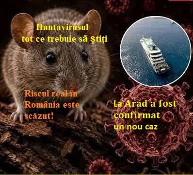 HANTAVIRUSUL: CE ESTE, CUM SE TRANSMITE ȘI CARE ESTE RISCUL REAL PENTRU ROMÂNIA. PRIMUL CAZ DIN 2026, CONFIRMAT LA ARAD
