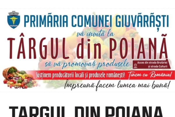 Giuvărăști. Când comunitatea devine constructor.Lecție de solidaritate și gospodărie.