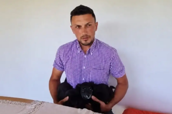Primarul unei comune din Suceava, prins de camere în timp ce abandona doi căței lângă o stație de autobuz
