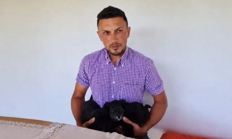 Primarul unei comune din Suceava, prins de camere în timp ce abandona doi căței lângă o stație de autobuz